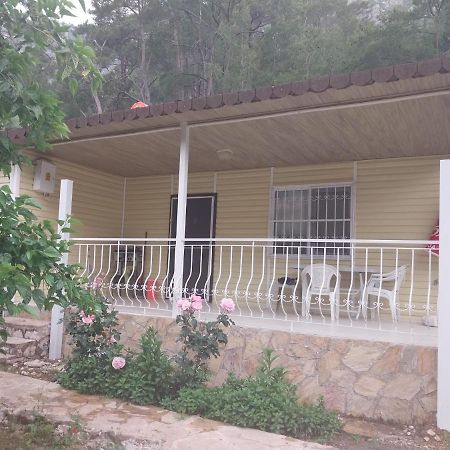Village Garden Pansiyon Antália Exterior foto