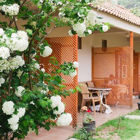 Village Garden Pansiyon Antália Exterior foto