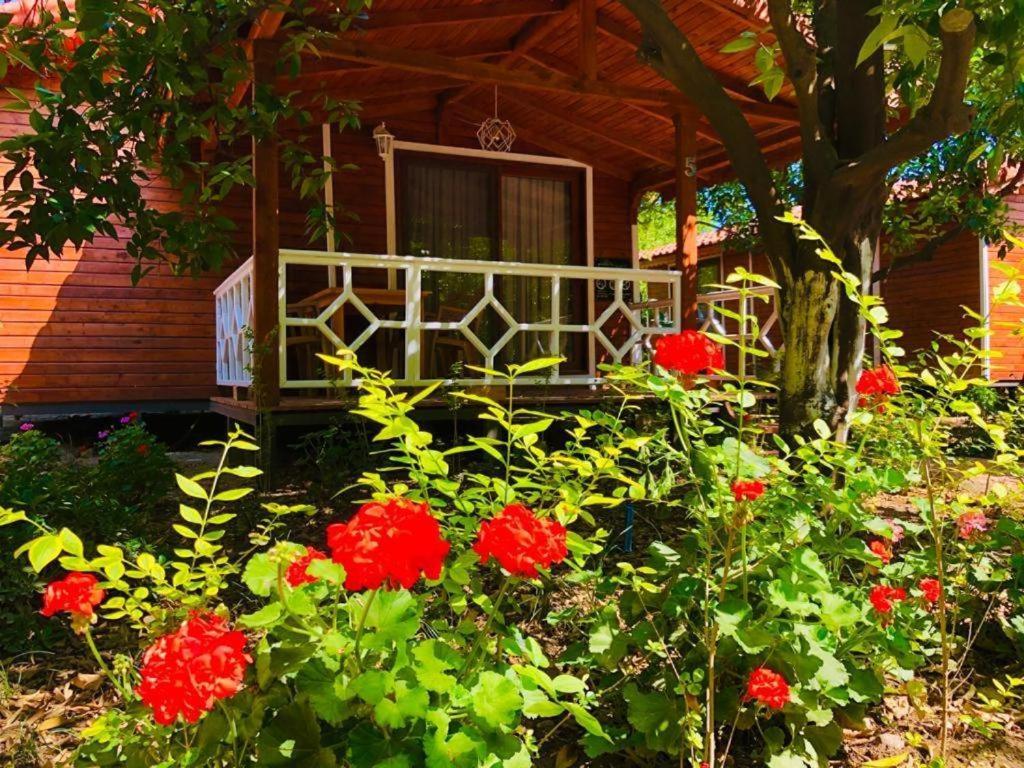 Village Garden Pansiyon Antália Exterior foto