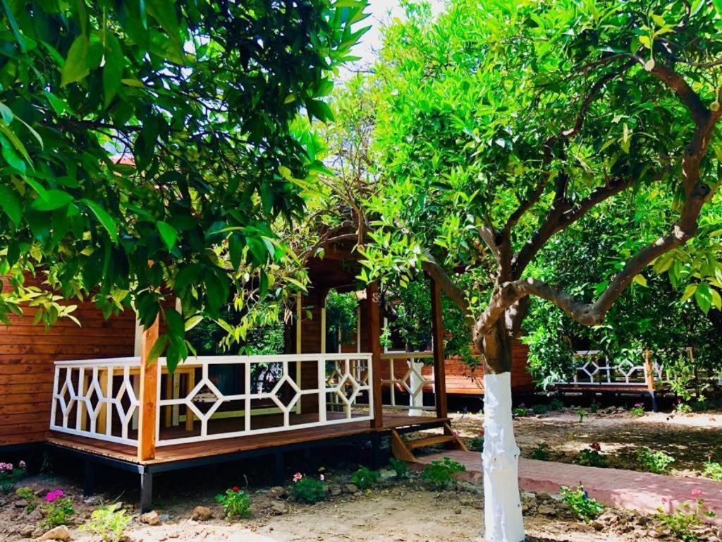 Village Garden Pansiyon Antália Exterior foto