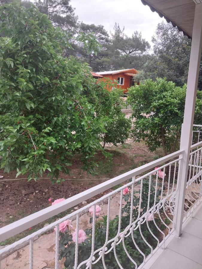 Village Garden Pansiyon Antália Exterior foto