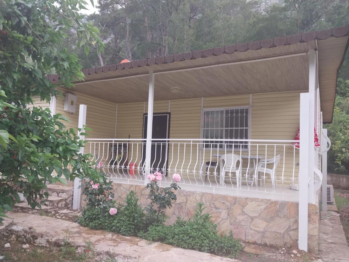 Village Garden Pansiyon Antália Exterior foto