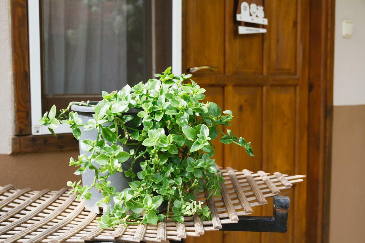 Village Garden Pansiyon Antália Exterior foto